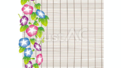 すだれと朝顔（左、色ミックス）（イラスト）