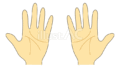 手のひら（両手）（フリーイラスト）