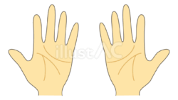 手のひら（両手）（フリーイラスト）